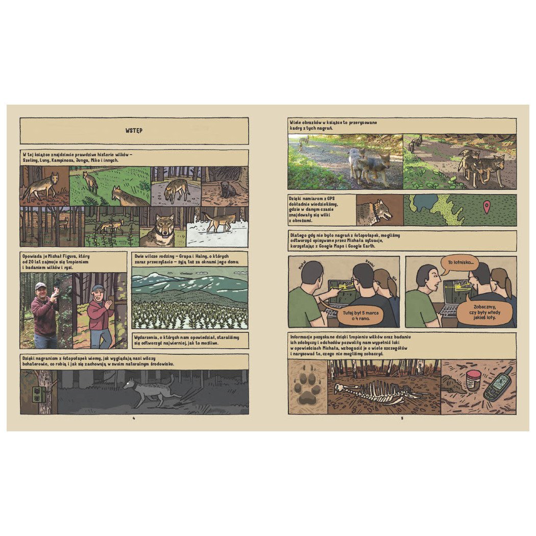 Wilki. Historie Prawdziwe - Przyrodniczy Komiks - Michał Figura, Aleksandra i Daniel Mizielińscy - Wydawnictwo Dwie Siostry