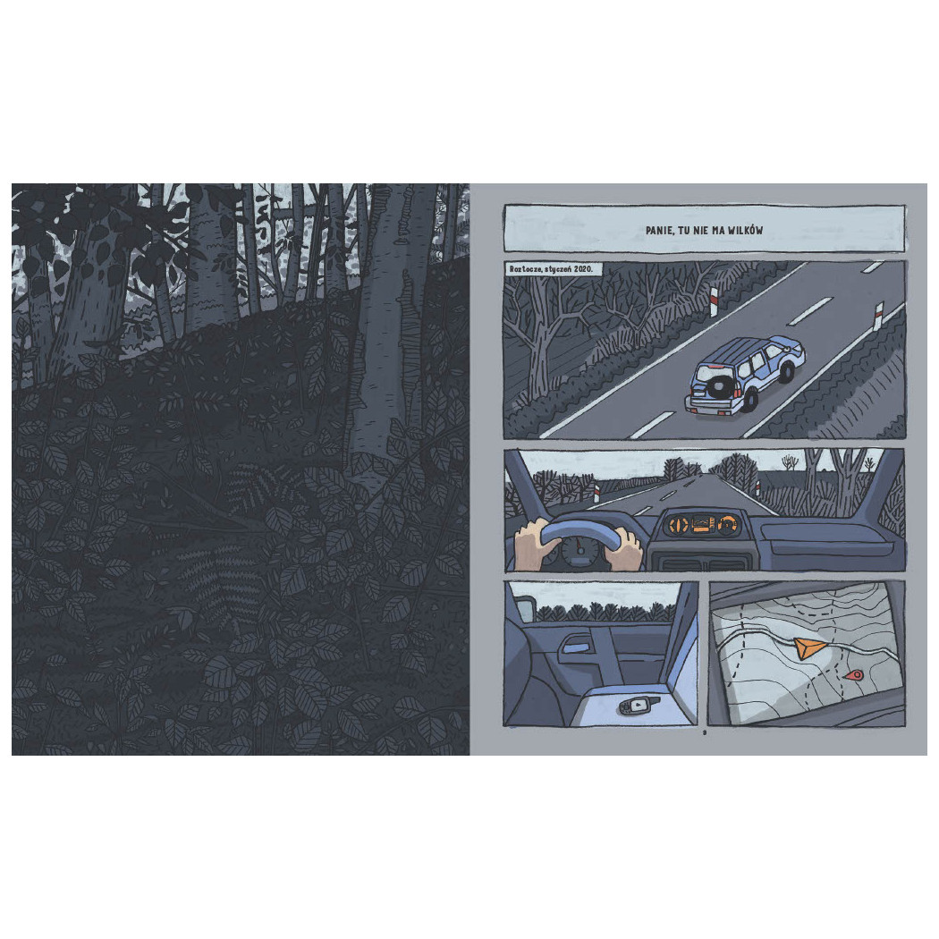 Wilki. Historie Prawdziwe - Przyrodniczy Komiks - Michał Figura, Aleksandra i Daniel Mizielińscy - Wydawnictwo Dwie Siostry