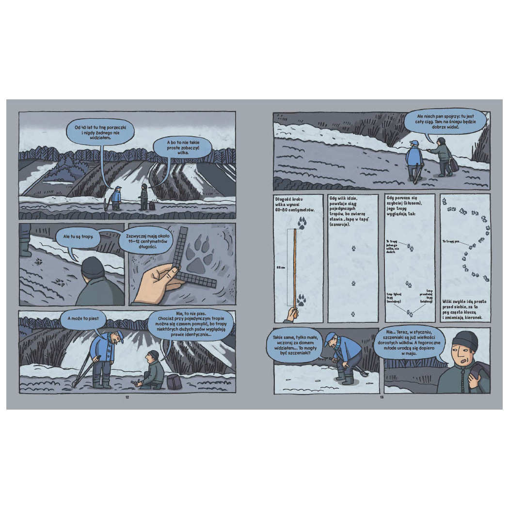 Wilki. Historie Prawdziwe - Przyrodniczy Komiks - Michał Figura, Aleksandra i Daniel Mizielińscy - Wydawnictwo Dwie Siostry