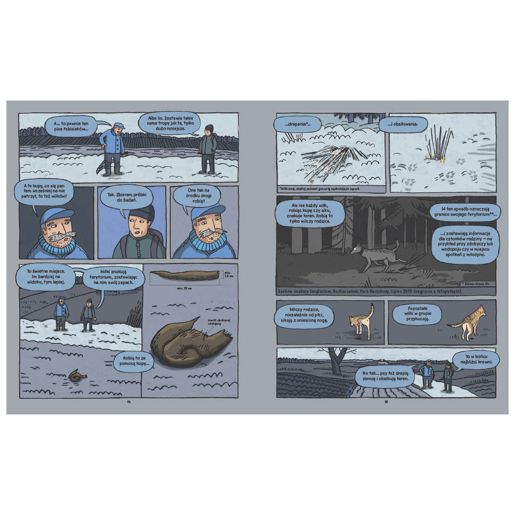 Wilki. Historie Prawdziwe - Przyrodniczy Komiks - Michał Figura, Aleksandra i Daniel Mizielińscy - Wydawnictwo Dwie Siostry