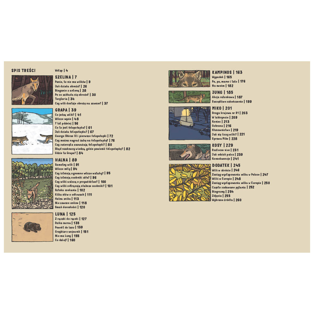 Wilki. Historie Prawdziwe - Przyrodniczy Komiks - Michał Figura, Aleksandra i Daniel Mizielińscy - Wydawnictwo Dwie Siostry