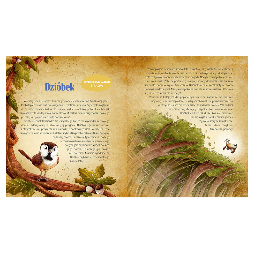 Mądre Bajki - Wydanie Specjalne - Agnieszka Antosiewicz - Greg