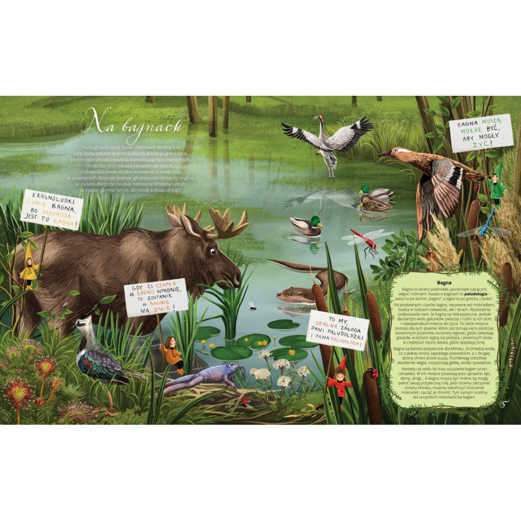 BAGNA - Fakty, Wierszyki i Inne Wybryki - Małgorzata Strzałkowska - MEDIA RODZINA