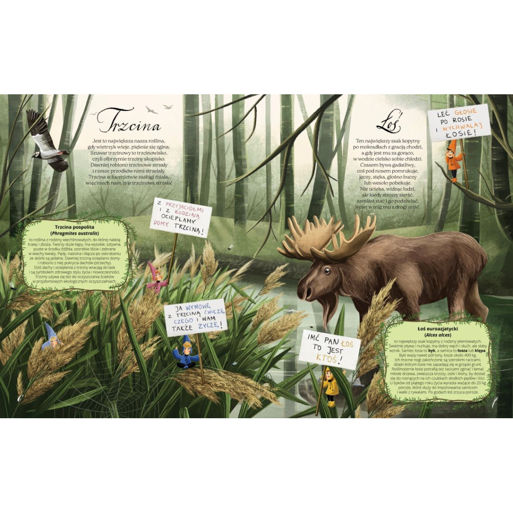 BAGNA - Fakty, Wierszyki i Inne Wybryki - Małgorzata Strzałkowska - MEDIA RODZINA