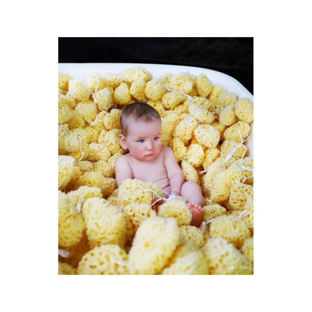 Gąbka Naturalna Morska - Natural Sea Sponge - LullaLove