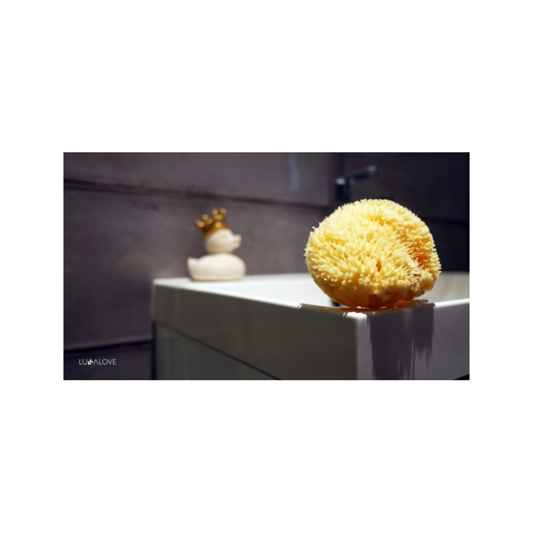 Gąbka Naturalna Morska - Natural Sea Sponge - LullaLove