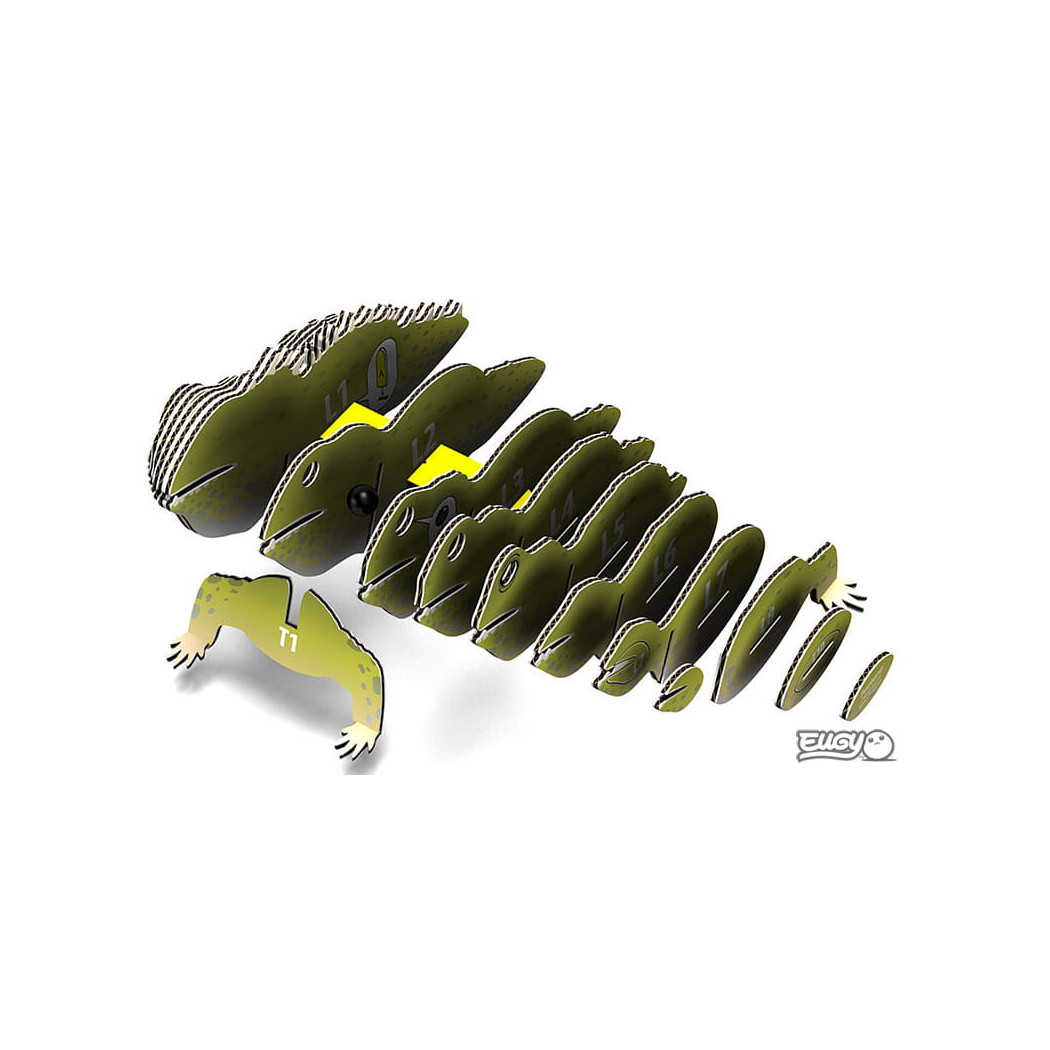 Hatteria jak Jaszczurka - Tuatara - Eko Układanka 3D - Eugy
