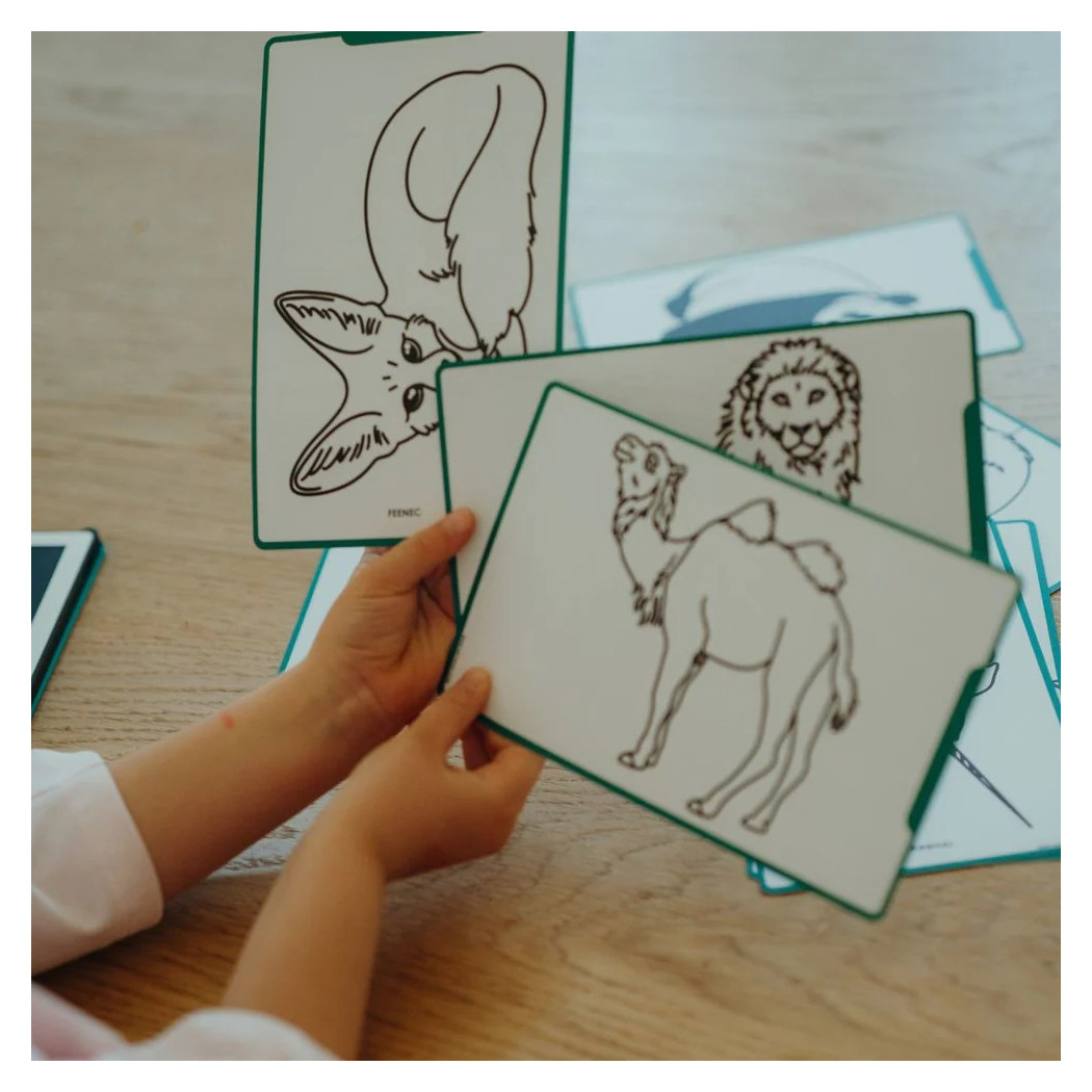 Zwierzęta Dookoła Świata - Tablet do Nauki Rysowania dla Dzieci - Mini Tablet Rysunkowy - KIDYWOLF