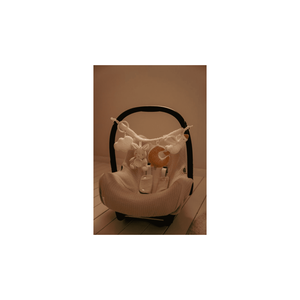 Zawieszka Interaktywna do Wózka i Fotelika - Newborn Naturals - Little Dutch