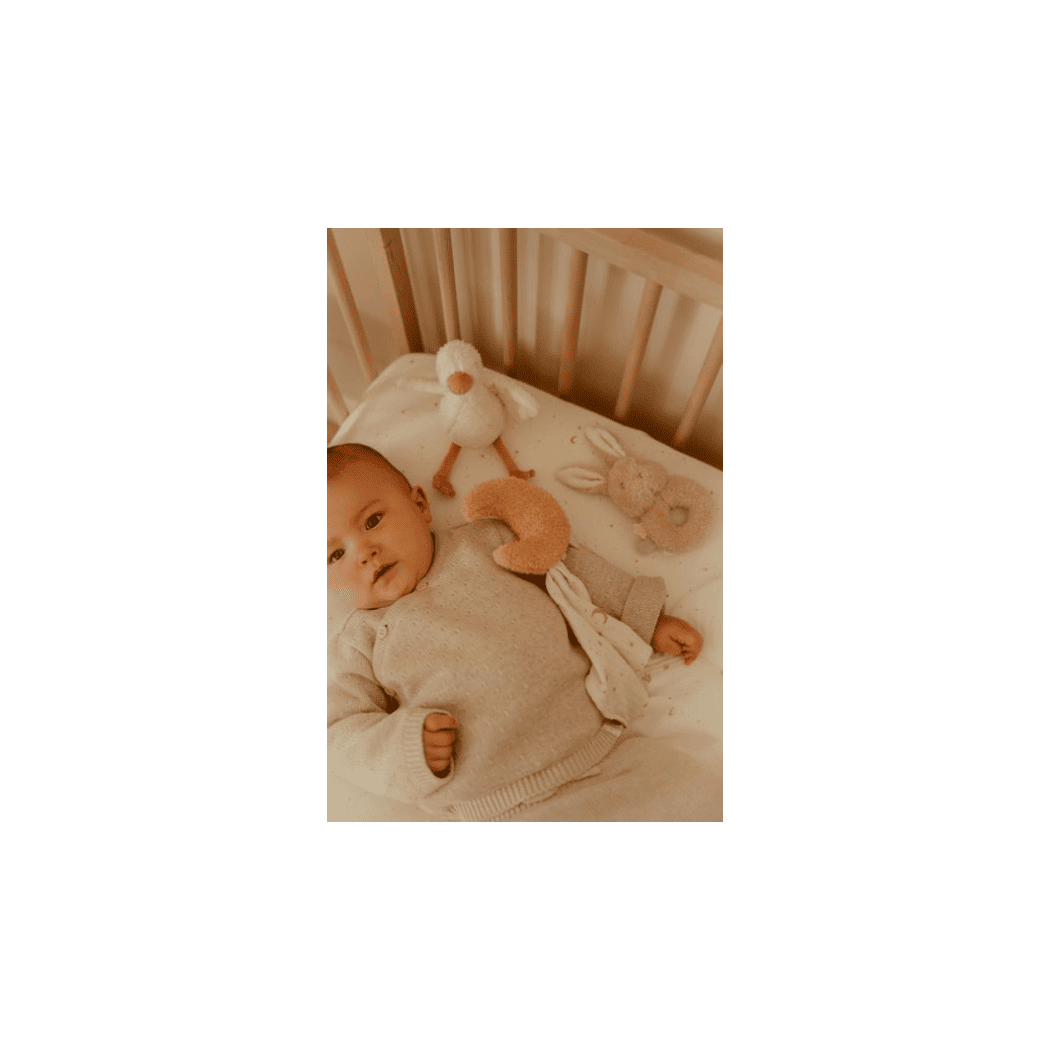 Zestaw Prezentowy dla Niemowlaka z Miękkimi Zabawkami - Newborn Naturals - Little Dutch