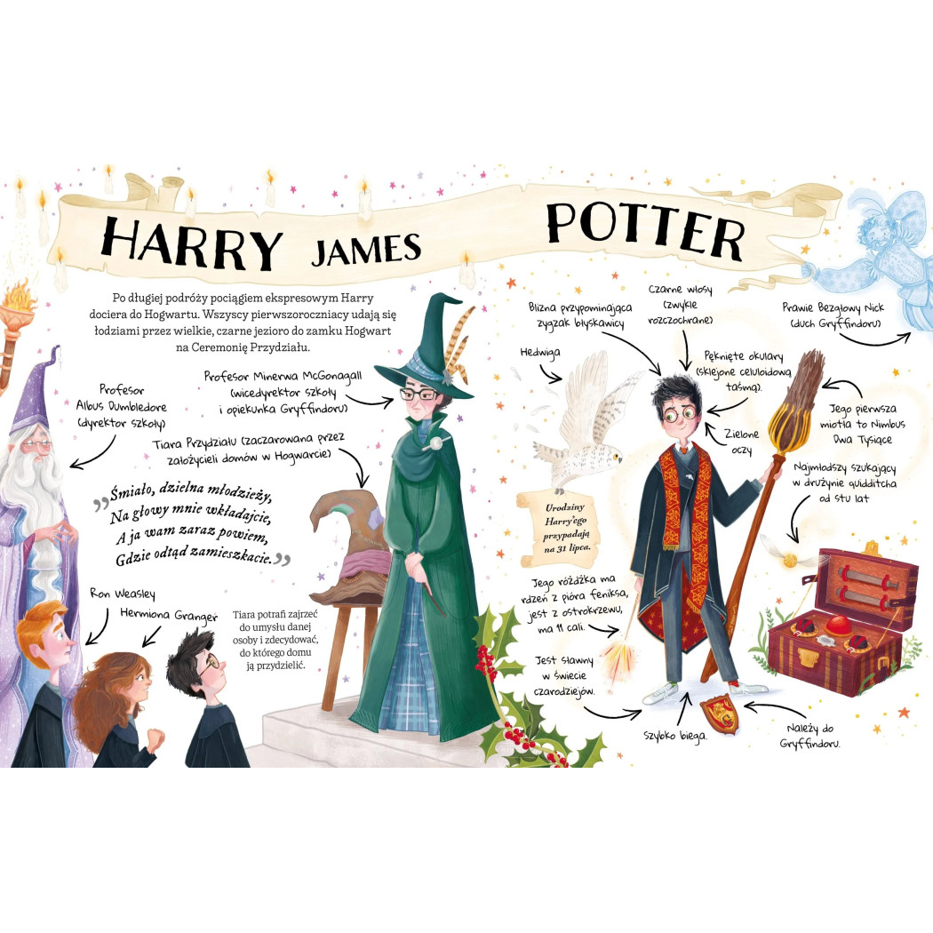 Mały Potterownik. Harry Potter - Przewodnik po Serii Harry Potter - MEDIA RODZINA