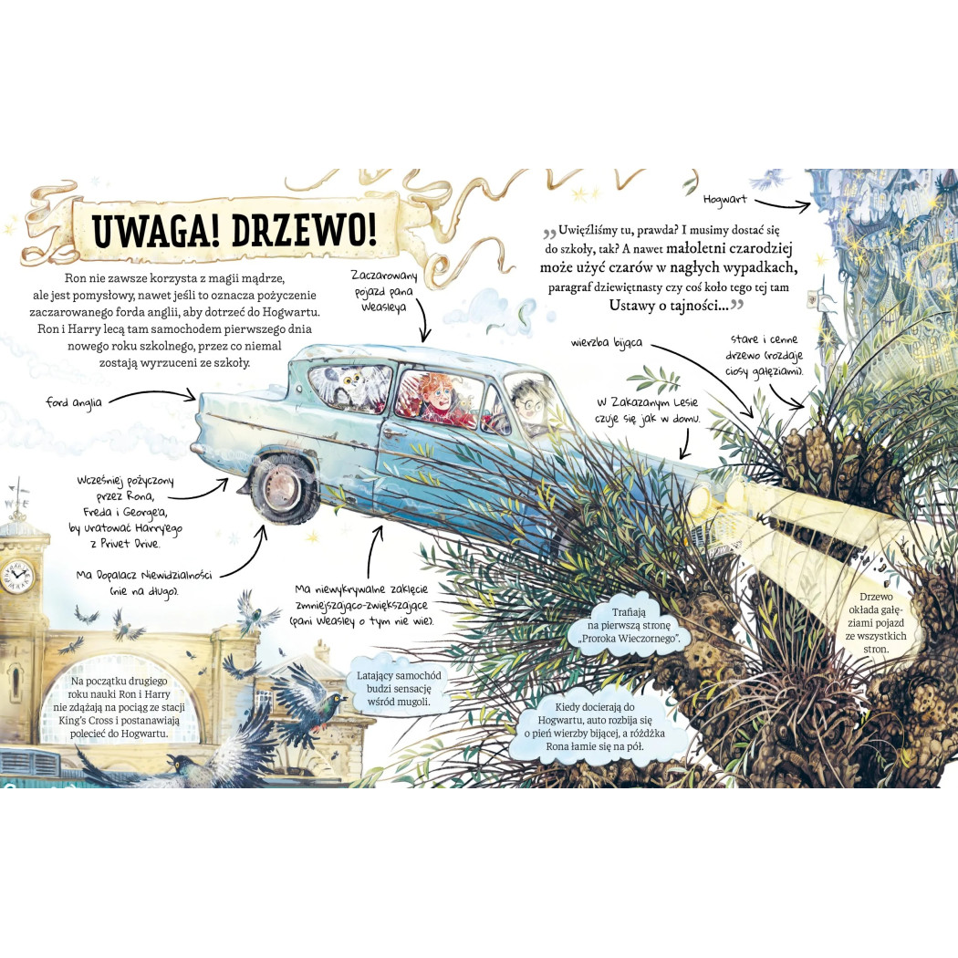 Mały Potterownik. Hermiona Granger - Przewodnik po Serii Harry Potter - MEDIA RODZINA