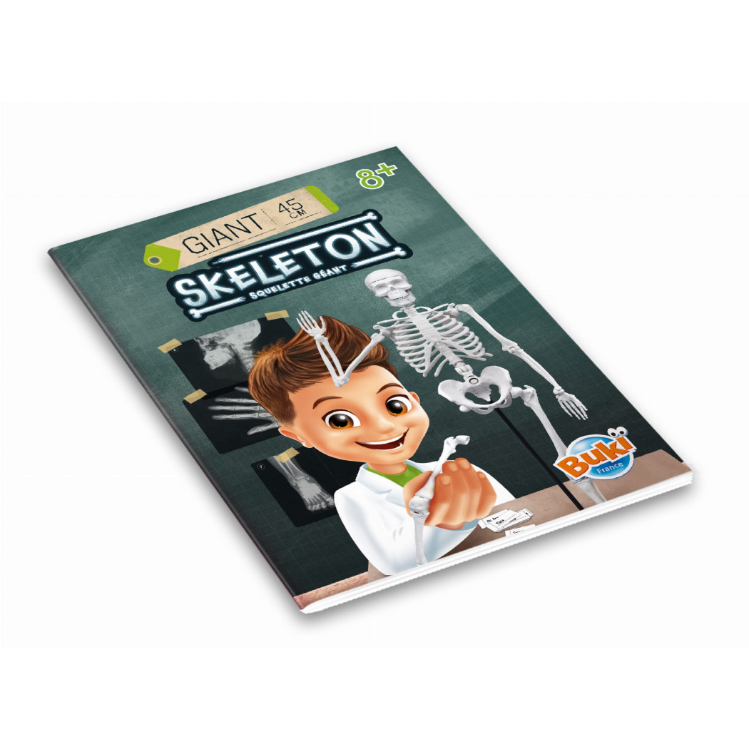 Szkielet Człowieka - Model Anatomiczny do Samodzielnego Składania dla Dzieci - 45 cm - ze Stojakiem - BUKI