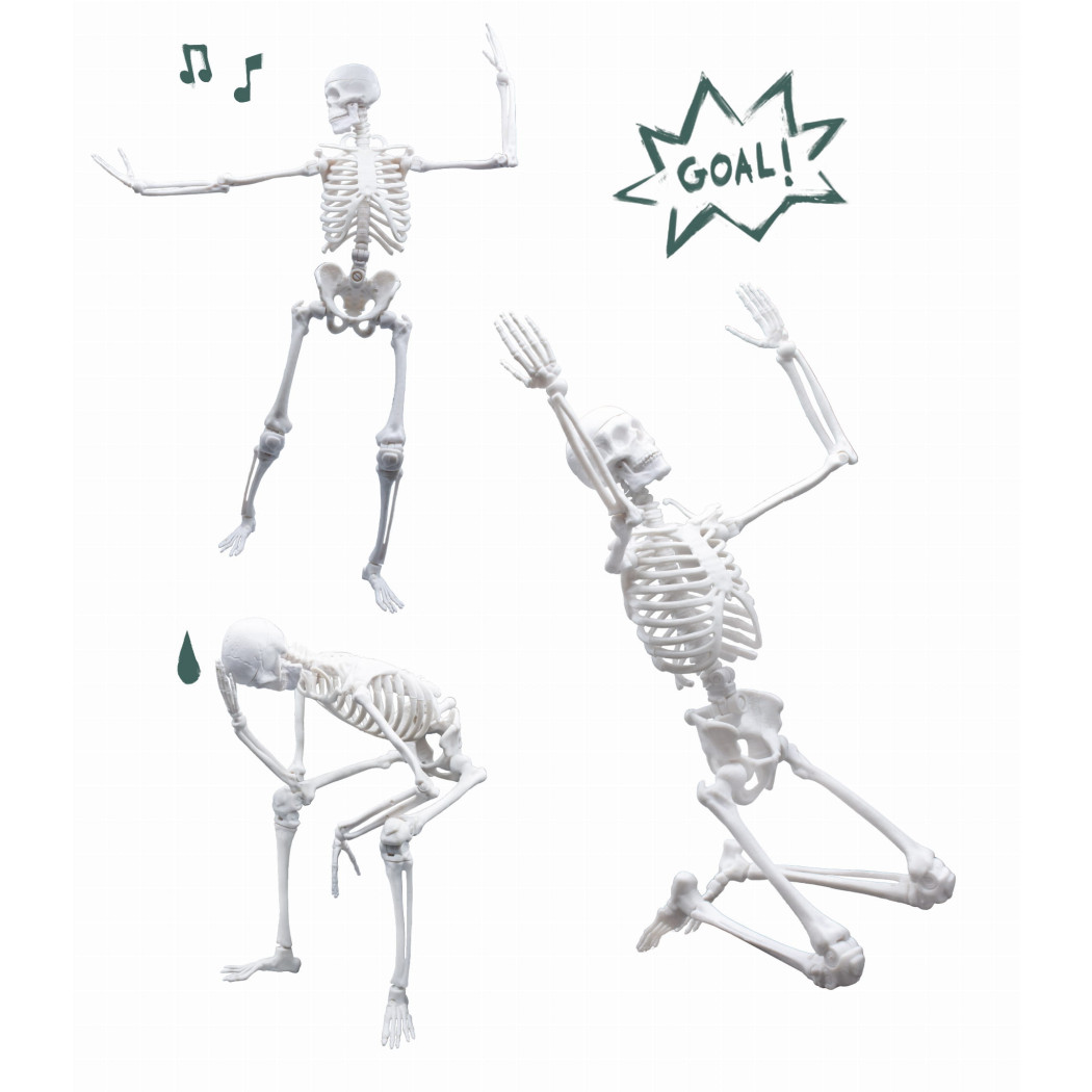 PROMOCJA Szkielet Człowieka - Model Anatomiczny do Samodzielnego Składania dla Dzieci - 45 cm - ze Stojakiem - BUKI