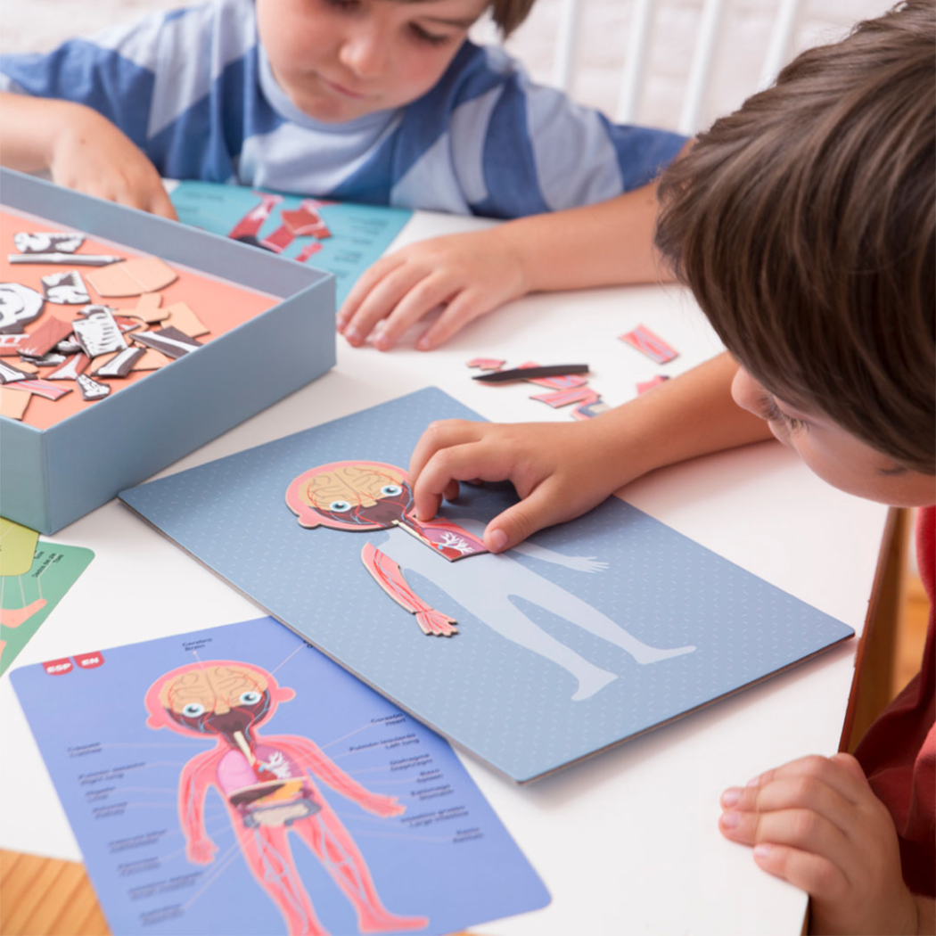 Ciało Człowieka - Magnetyczna Układanka - Apli Kids