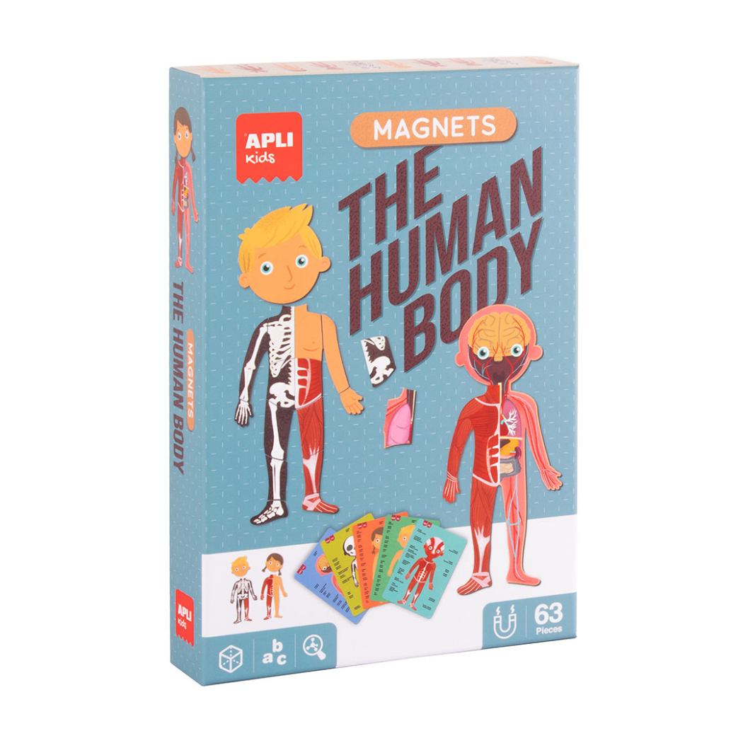 Ciało Człowieka - Magnetyczna Układanka - Apli Kids