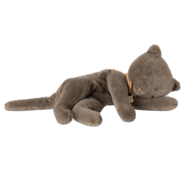 Szary Śpiący Kot - Leżący...