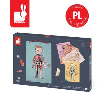 Układanka magnetyczna Ciało Człowieka - Anatomia - Janod