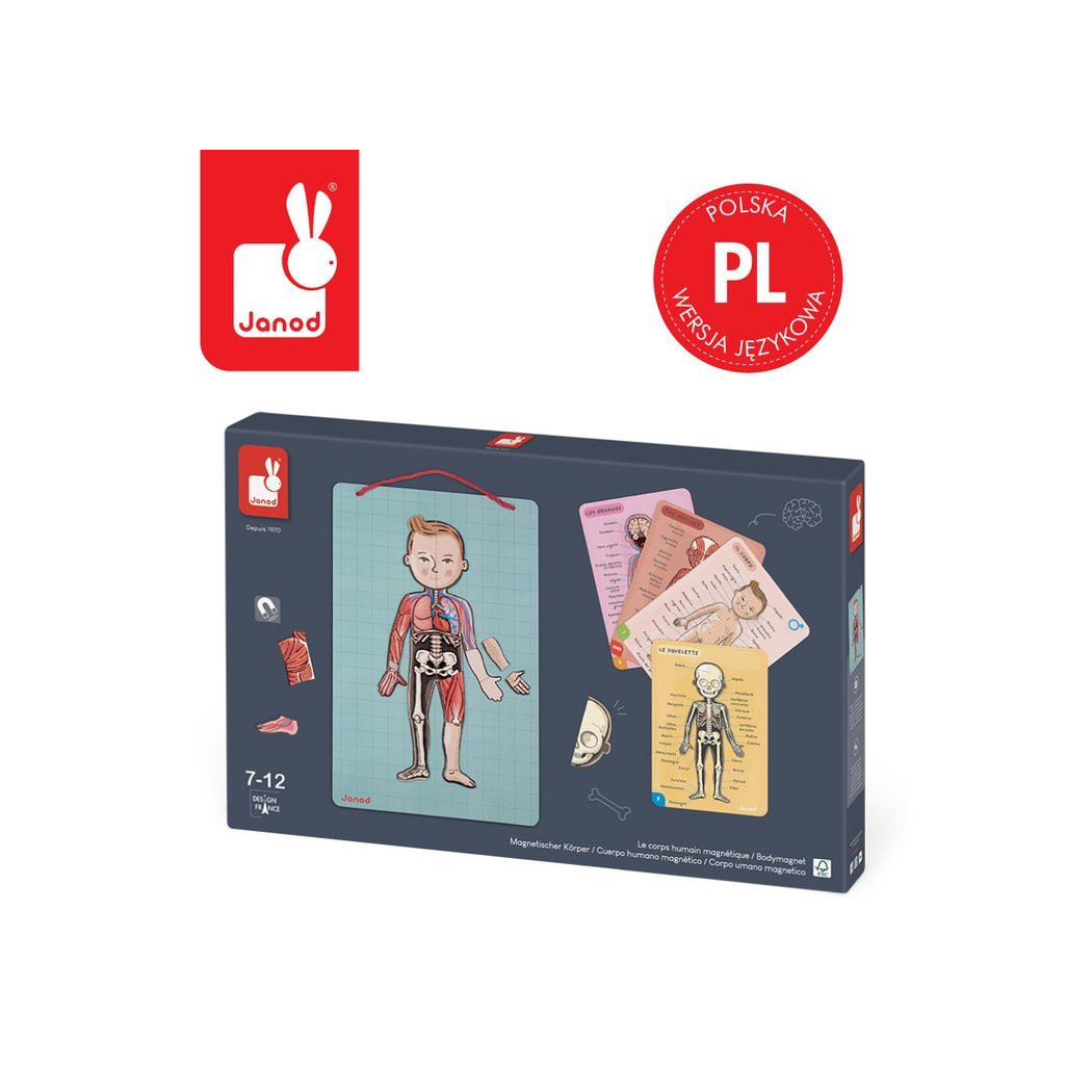 Układanka magnetyczna Ciało Człowieka - Anatomia - Janod