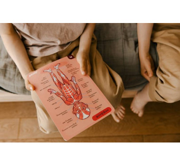 Układanka magnetyczna Ciało Człowieka - Anatomia - Janod