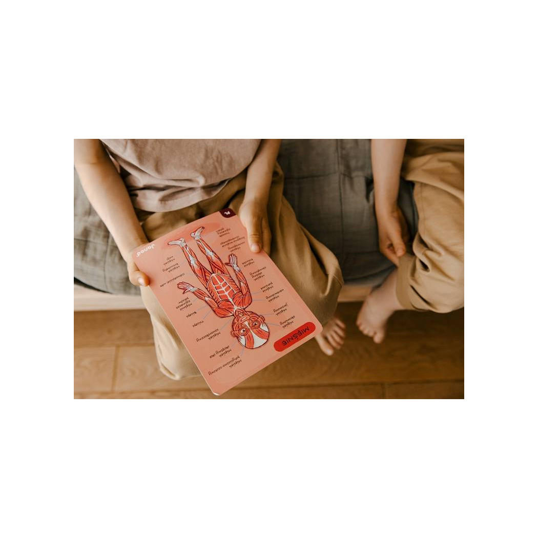 Układanka magnetyczna Ciało Człowieka - Anatomia - Janod