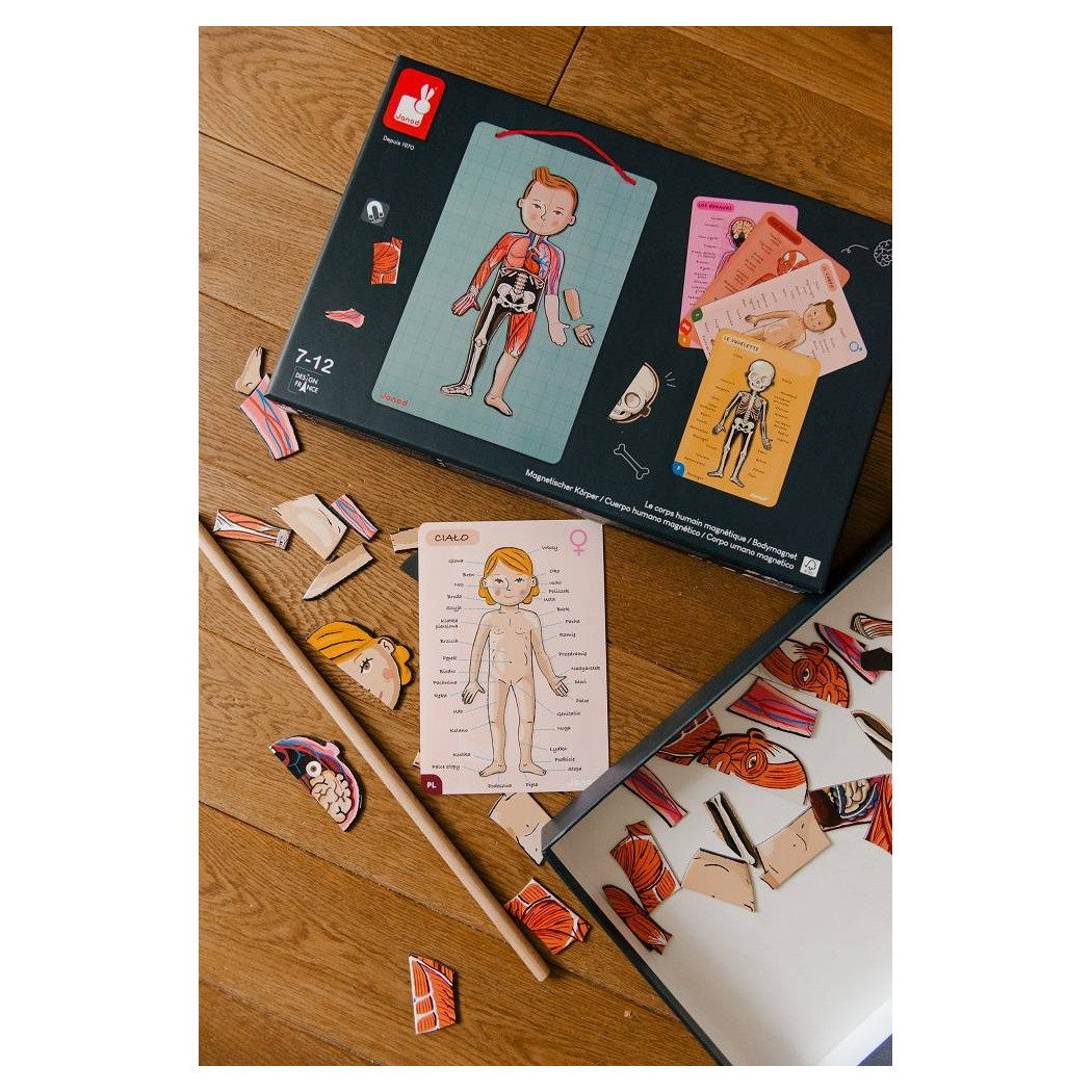 Układanka magnetyczna Ciało Człowieka - Anatomia - Janod