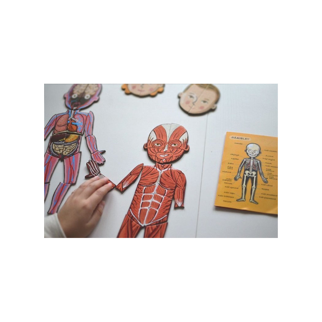 Układanka magnetyczna Ciało Człowieka - Anatomia - Janod