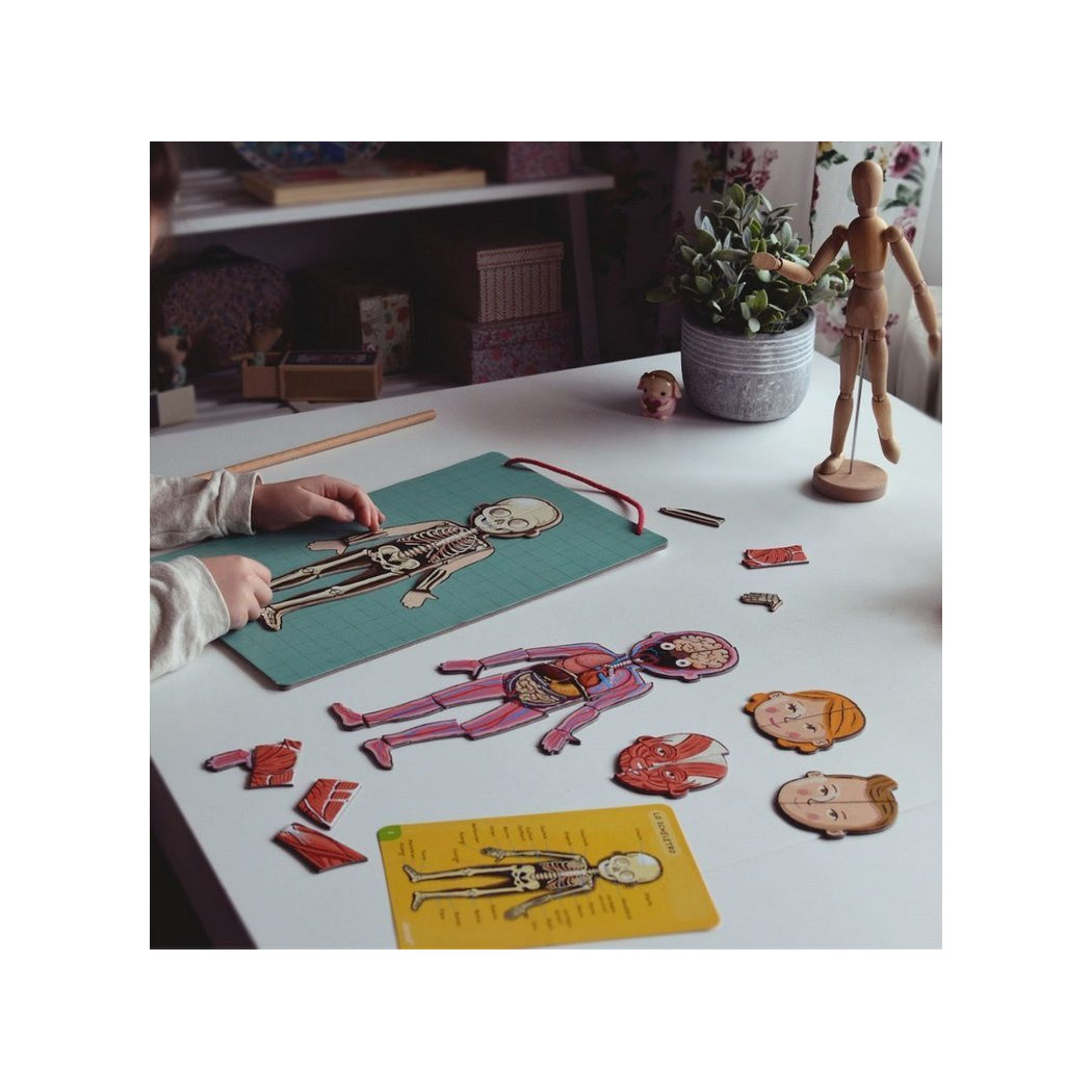 Układanka magnetyczna Ciało Człowieka - Anatomia - Janod