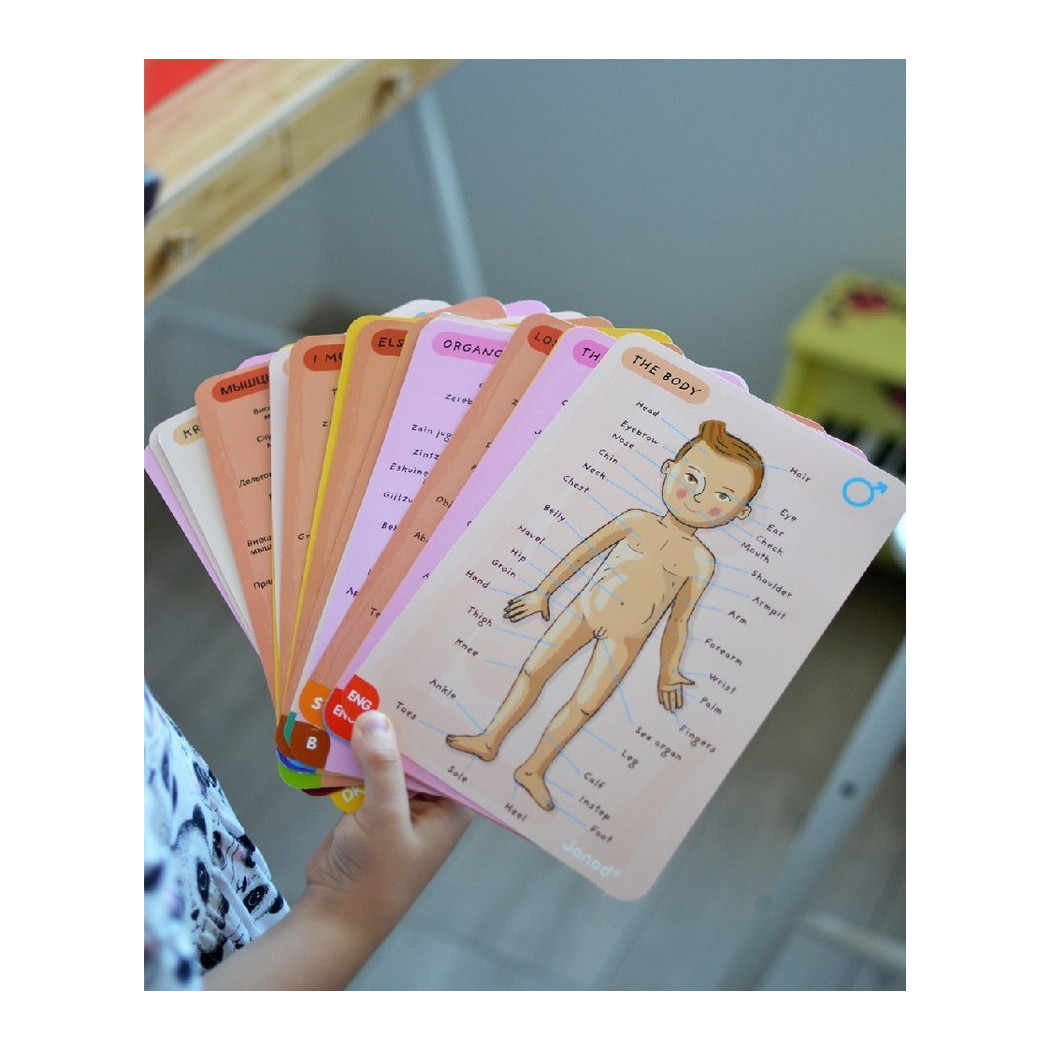 Układanka magnetyczna Ciało Człowieka - Anatomia - Janod