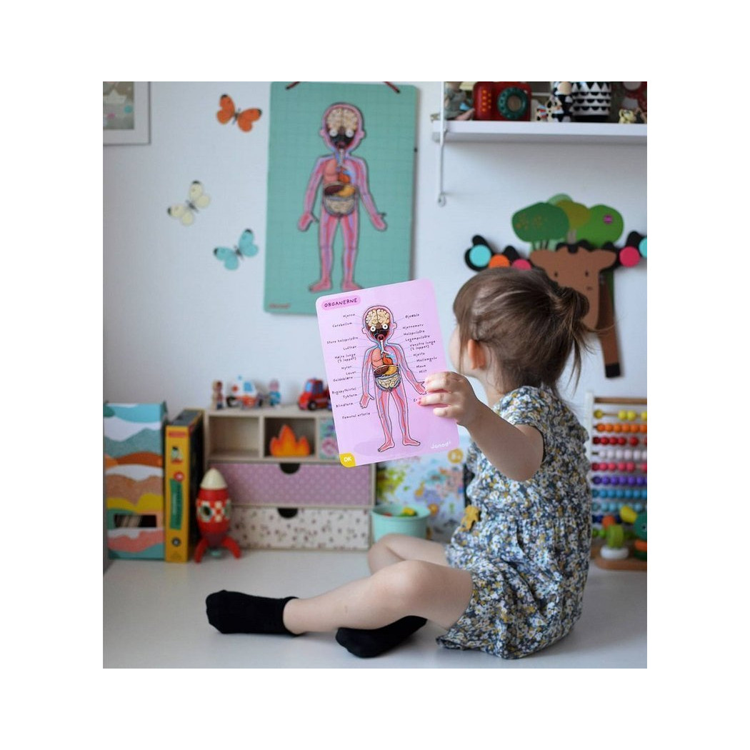 Układanka magnetyczna Ciało Człowieka - Anatomia - Janod