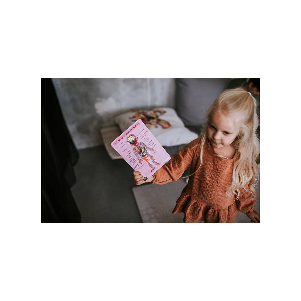 Układanka magnetyczna Ciało Człowieka - Anatomia - Janod