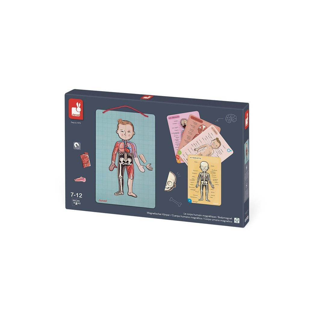 Układanka magnetyczna Ciało Człowieka - Anatomia - Janod
