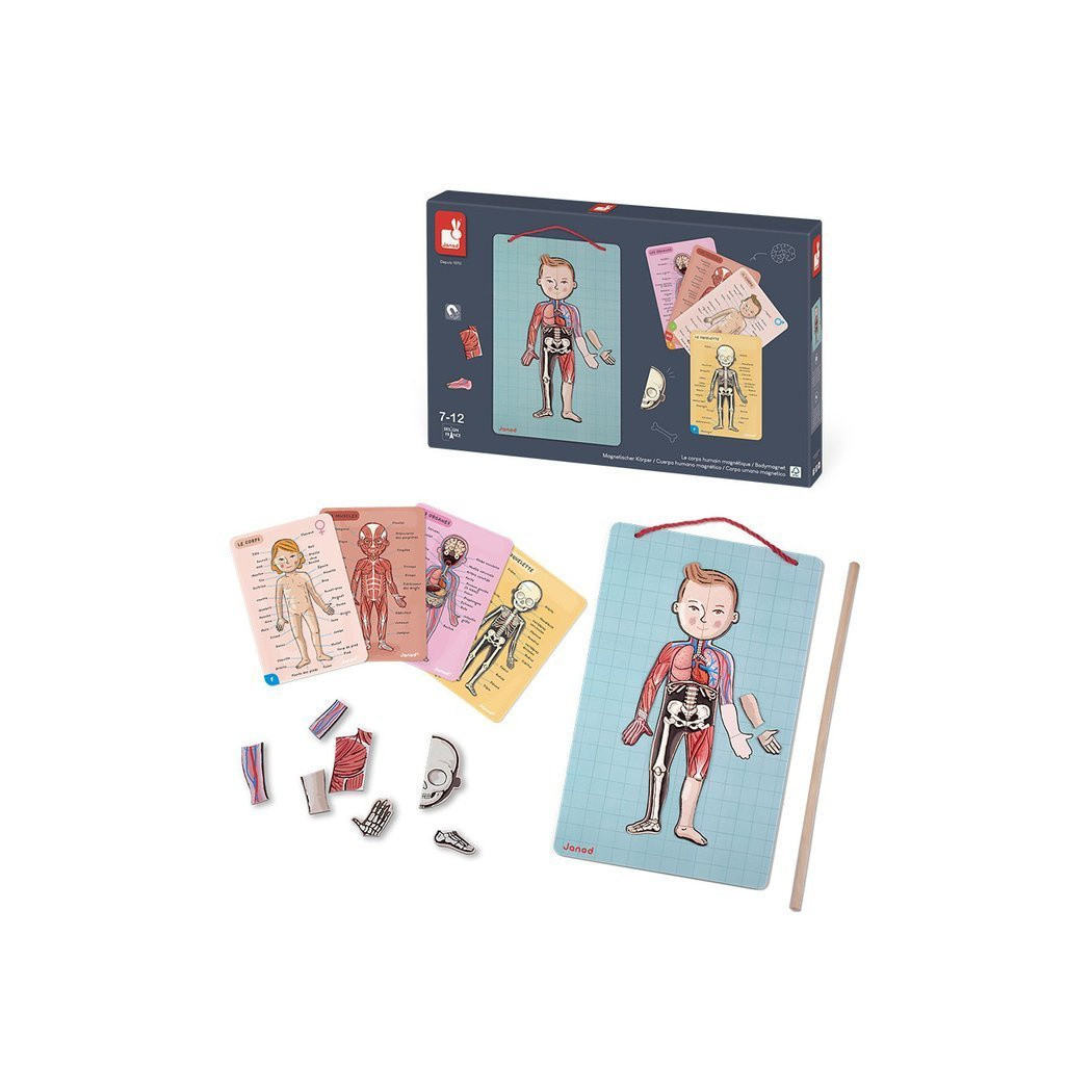 Układanka magnetyczna Ciało Człowieka - Anatomia - Janod