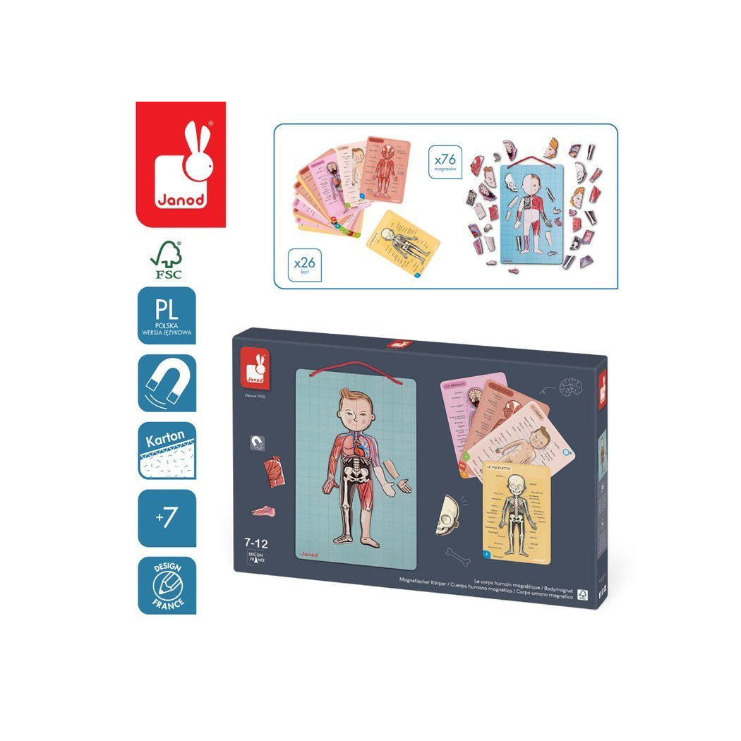 Układanka magnetyczna Ciało Człowieka - Anatomia - Janod
