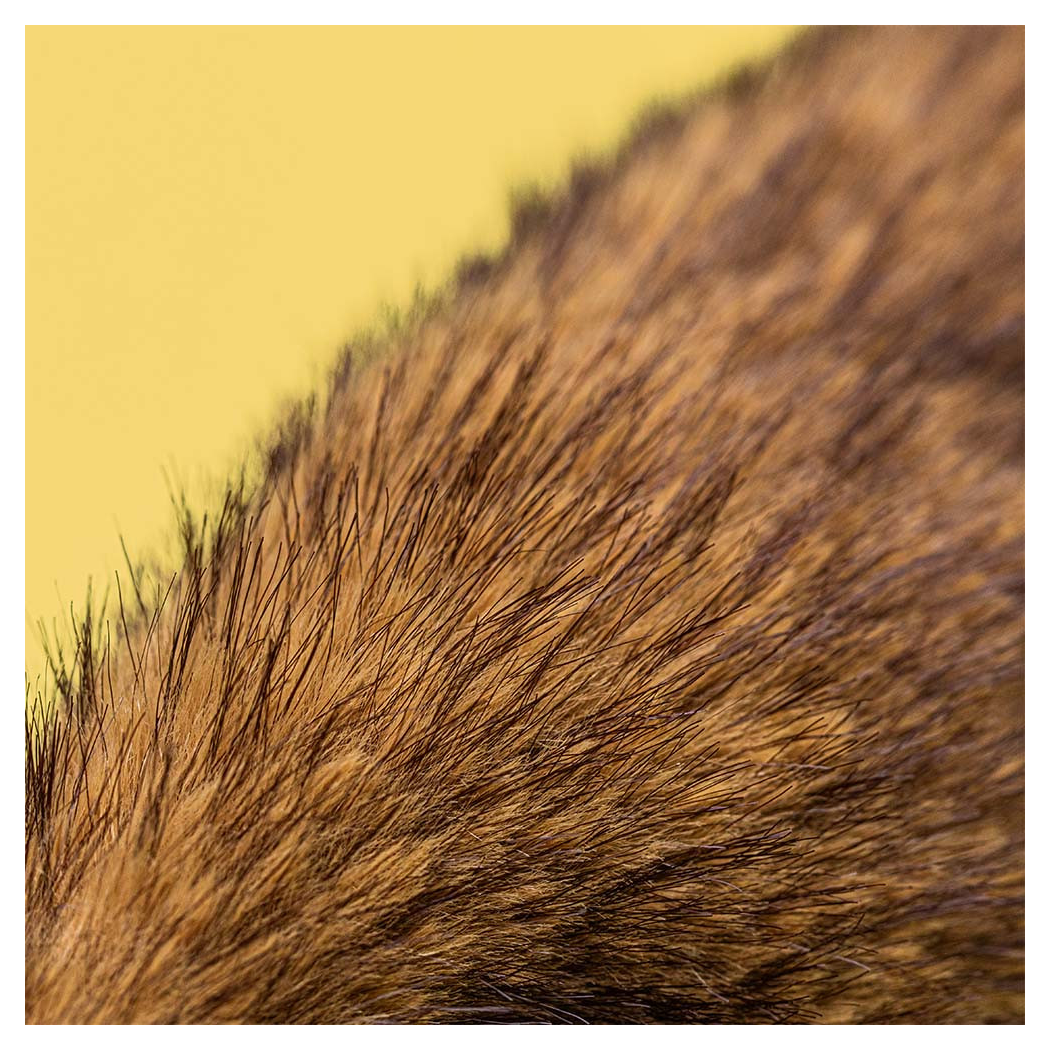 Hoppleston - Szlachetny Króliczek Luxe - Miodowy Brąz Królik 31 cm - Maskotka Przytulanka - JellyCat