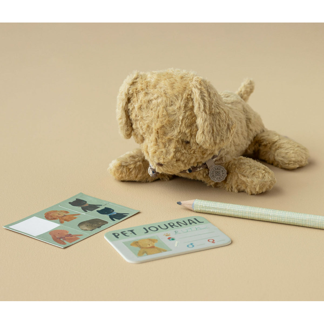 Koralowy Transporter dla Pieska lub Kotka z Dowodem dla Zwierzątka - Pet Carrier - Maileg