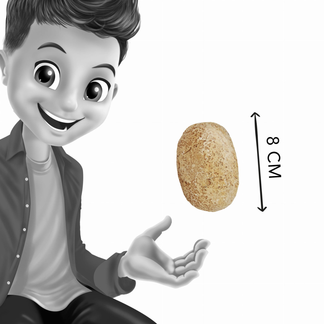 Gipsowe Jajo Dinozaura - Jajko Niespodzianka z Dinozaurem do Odkrycia - Blind Box - BUKI