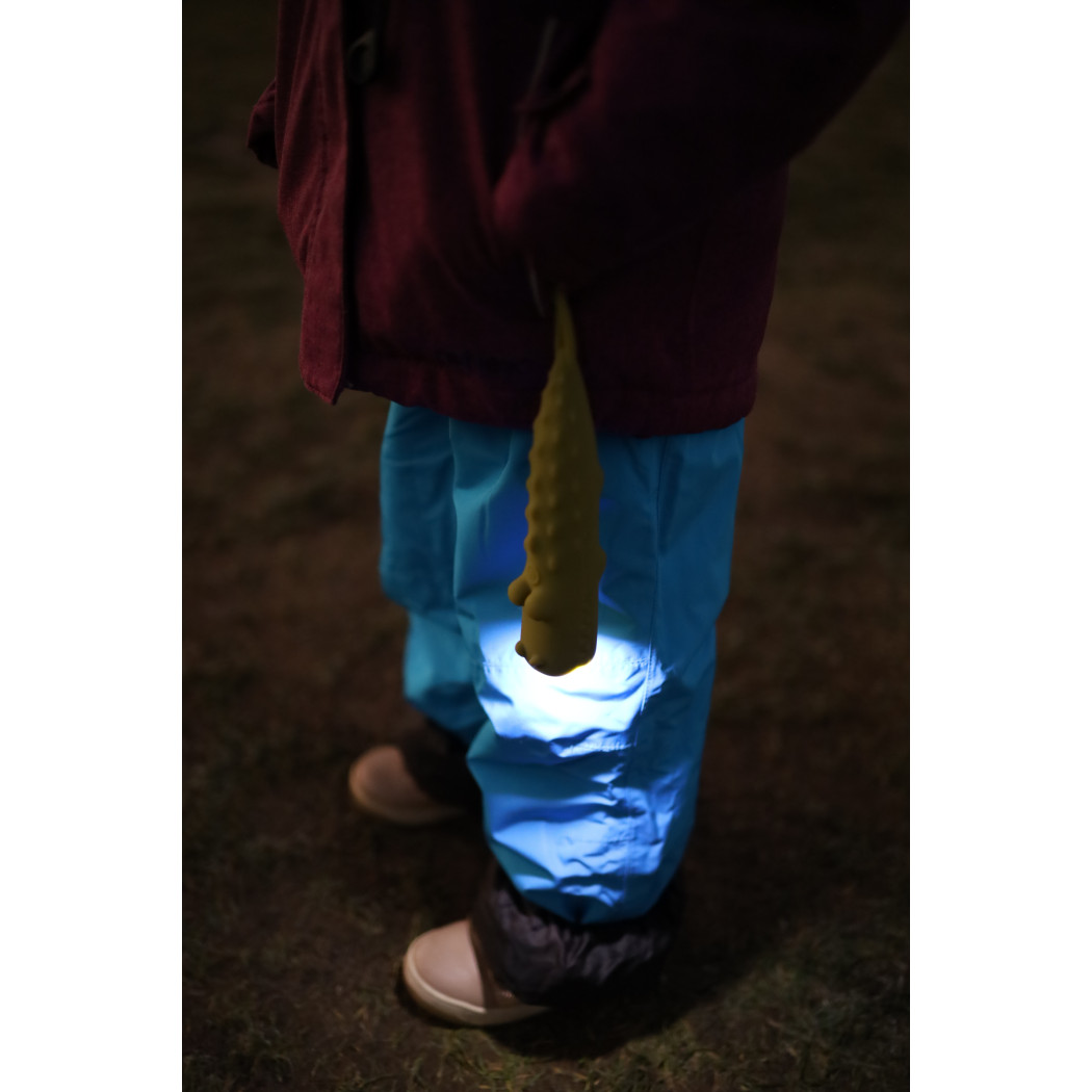 Latarka Krokodyl CROCO - Rabbit & Friends