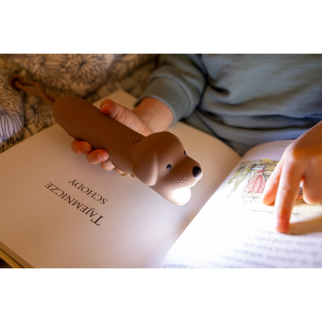 Latarka Pies BUDDY - Rabbit & Friends