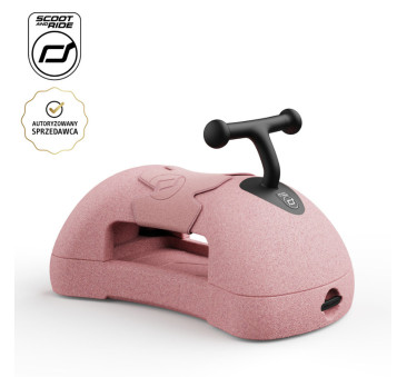 Rose My First - Pchacz...