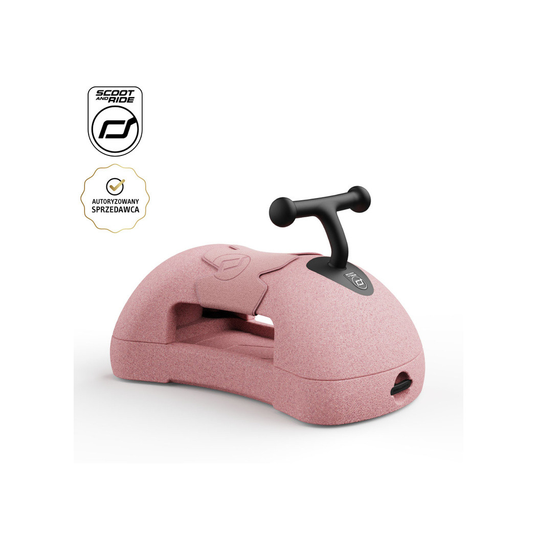 Rose My First - Pchacz Jeździk i Deska na Kółkach - 3w1 - 6m+ - Scootandride