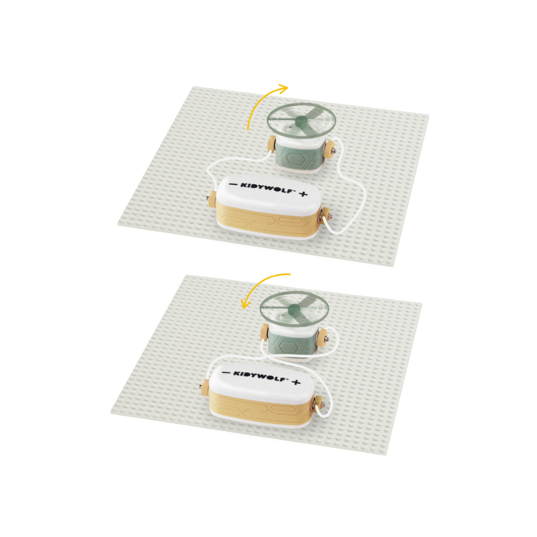 KIDYELEC Starter - Mały Elektryk Zestaw Konstrukcyjny Elektryczność - KIDYWOLF