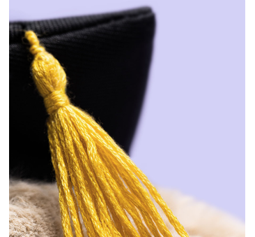 Króliczek Absolwent - Beżowy Pluszowy Królik 31 cm w Birecie - Maskotka Przytulanka - JellyCat