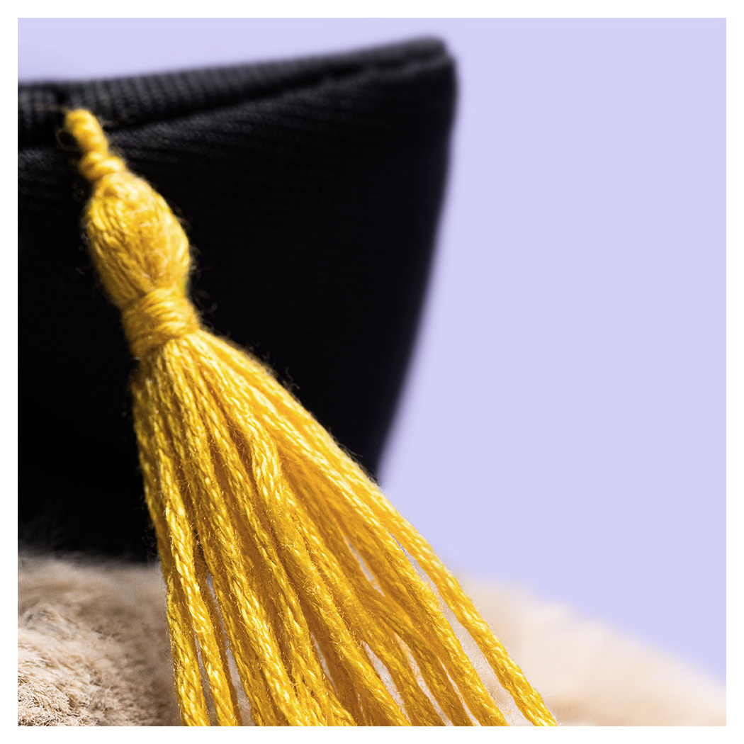 Króliczek Absolwent - Beżowy Pluszowy Królik 31 cm w Birecie - Maskotka Przytulanka - JellyCat