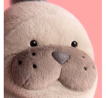 PROMOCJA Lew Morski Roarwell - 30 cm - Pluszowa Uchatka jak Foka - Maskotka Przytulanka - JellyCat