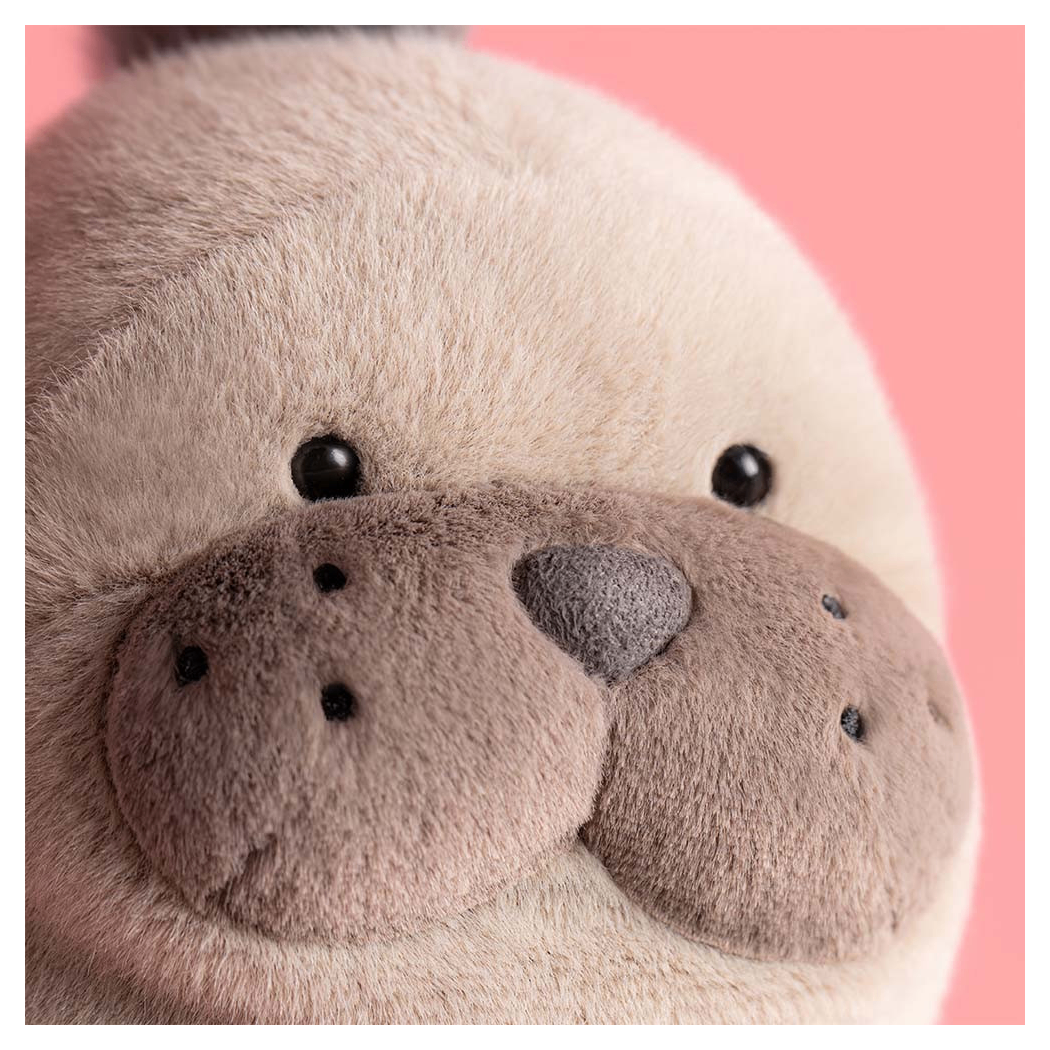 PROMOCJA Lew Morski Roarwell - 30 cm - Pluszowa Uchatka jak Foka - Maskotka Przytulanka - JellyCat