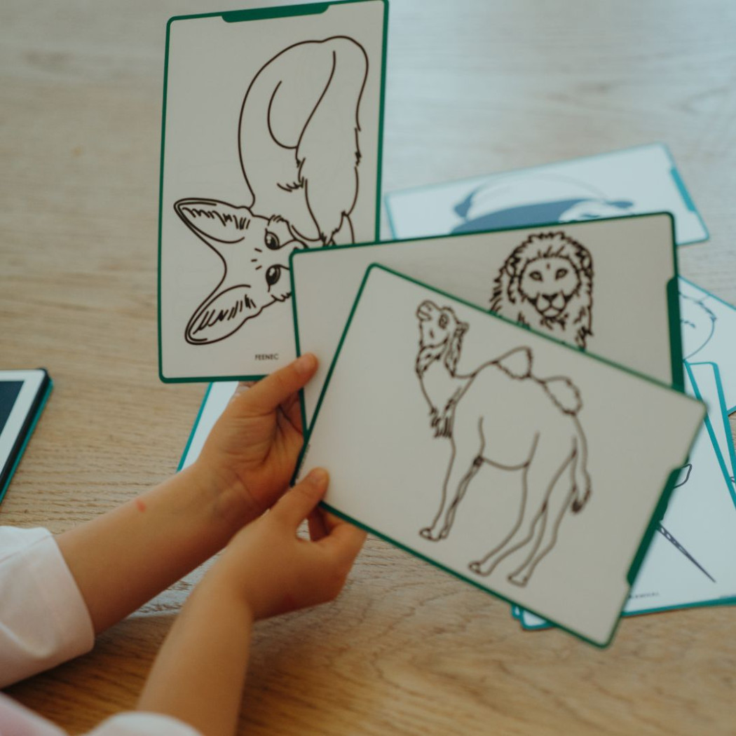 Piraci i Zwierzęta - Wkłady Uzupełniające do Mini Tabletu do Nauki Rysowania dla Dzieci - KIDYWOLF