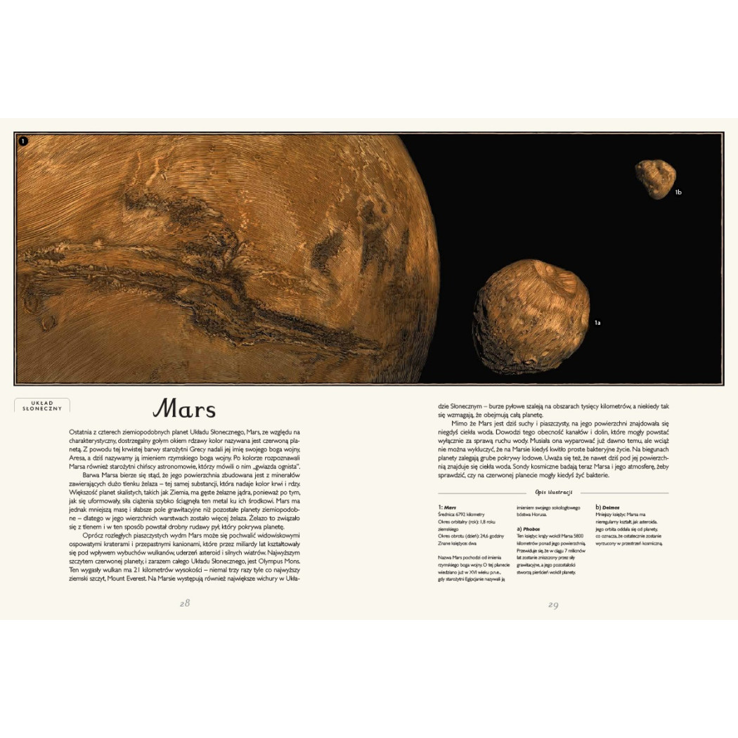 PLANETARIUM - Raman Prinja, Wormell Chris - DWIE SIOSTRY