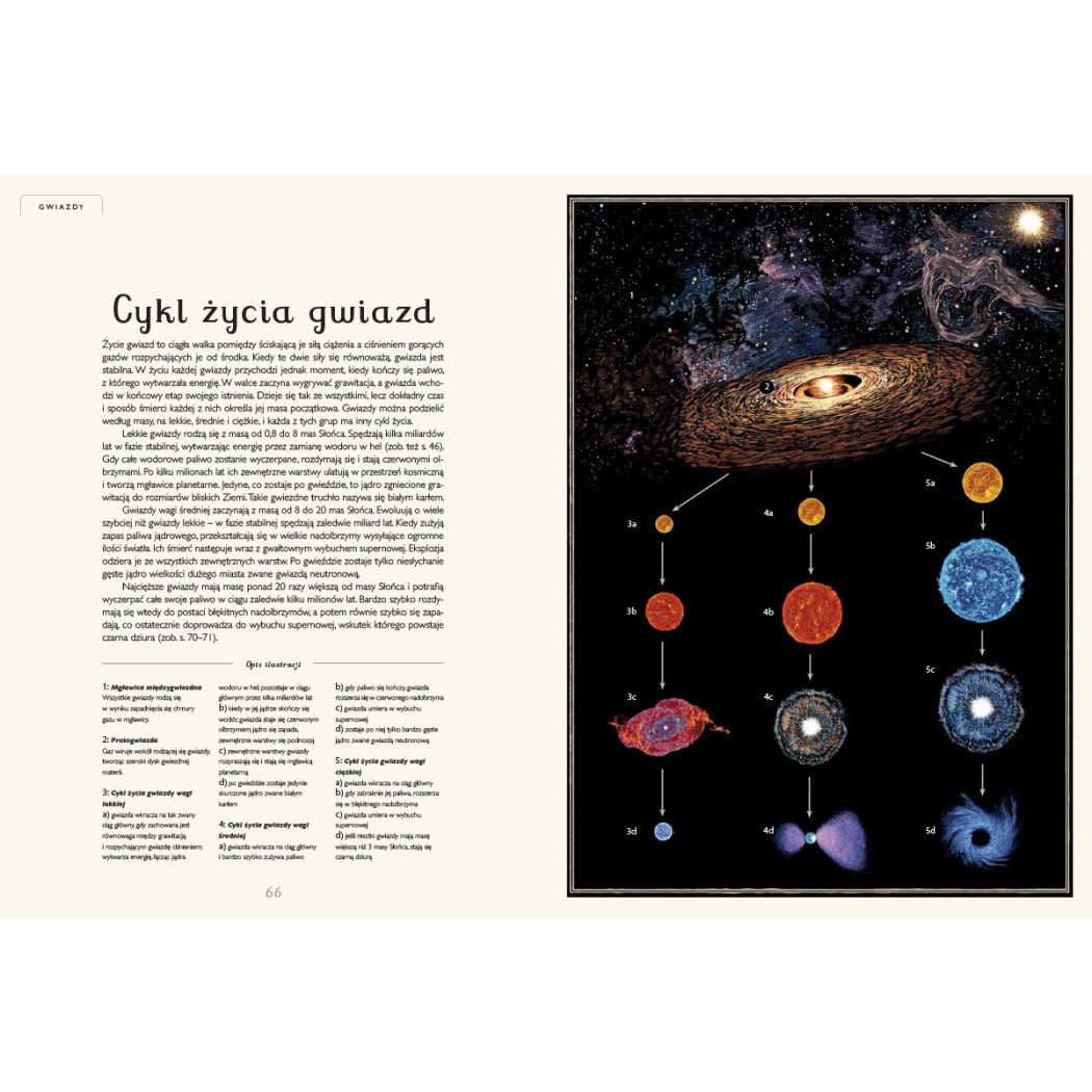 PLANETARIUM - Raman Prinja, Wormell Chris - DWIE SIOSTRY