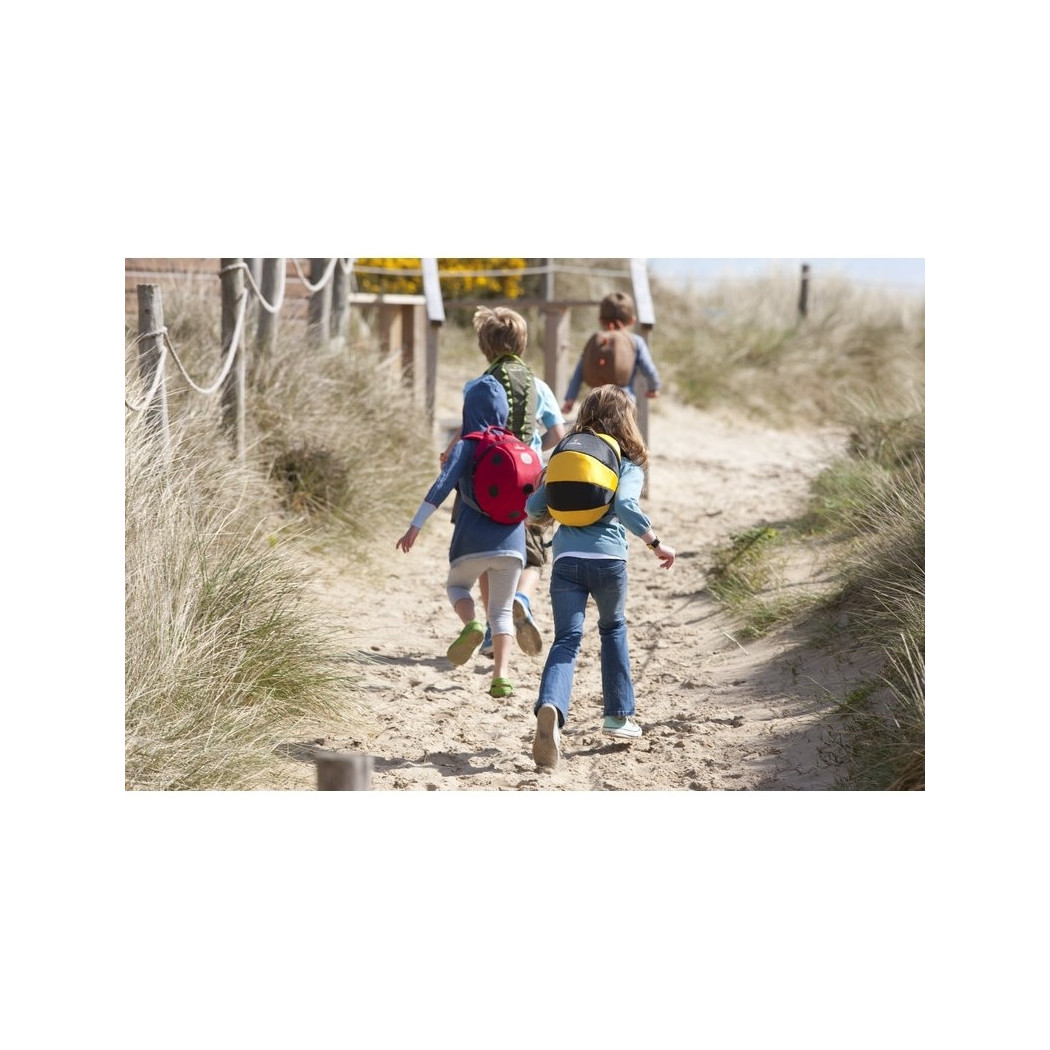 Duży Plecak LittleLife Animal Pack - Pszczółka 3+